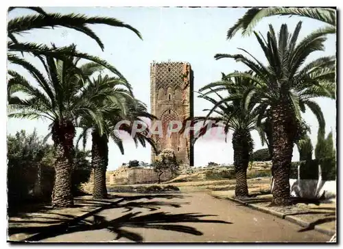Cartes postales moderne Maroc Rabat La Tour Hassan