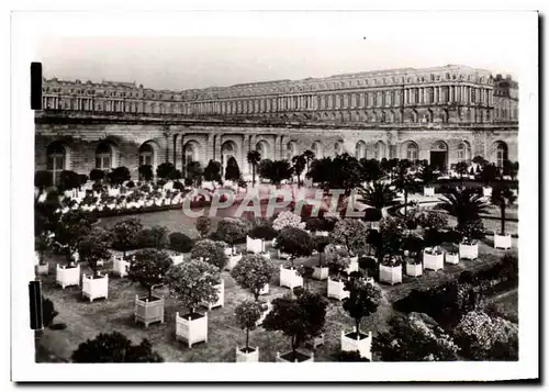 Cartes postales moderne Chateau de Versailles L&#39Orangerie