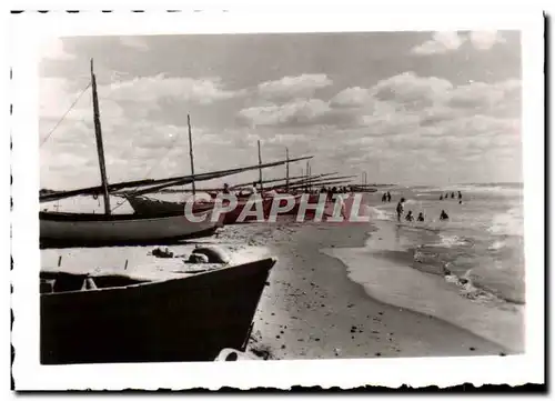 Cartes postales moderne Les Saintes Maries De la Mer La Greve Blanche