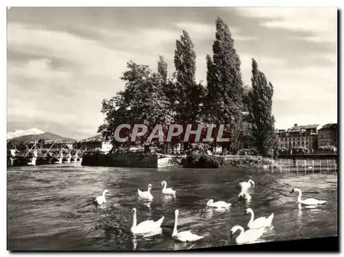 Cartes postales moderne Suisse Geneve Rousseau et le Mont Blanc