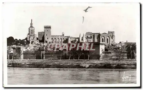 Cartes postales Avignon Vaucluse Le Rhone et le Palais des Papes