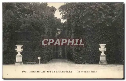 Cartes postales Parc du Chateau de Chantilly La Grande allee