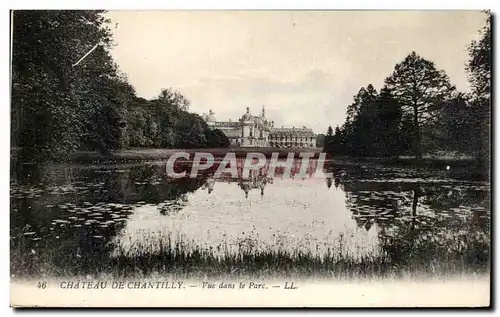 Ansichtskarte AK Chateau De Chantilly Vue Dans Le Parc