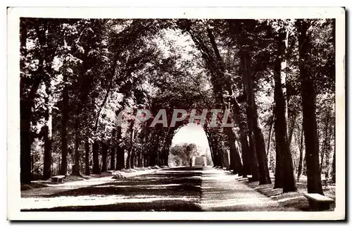 Ansichtskarte AK Parc de Sceaux L&#39Allee de la Duchesse