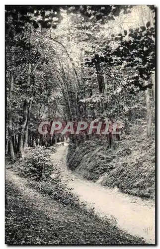 Ansichtskarte AK Parc Saint Cloud Allee De Marnes Route De La porte Blanche a la pelouse de Combleval De Marnes a