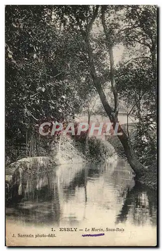 Cartes postales Esbly Le Morin Sous Bois Sarrazin Phot edit