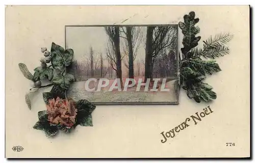 Cartes postales Fantaisie Joyeux Noel