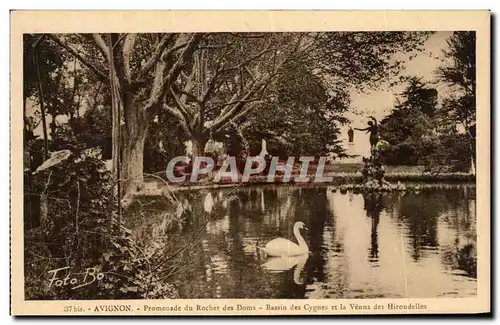 Cartes postales Avignon Promenade du Rocher des Doms Bassin des Cygnes et la Venus des Hirondelles