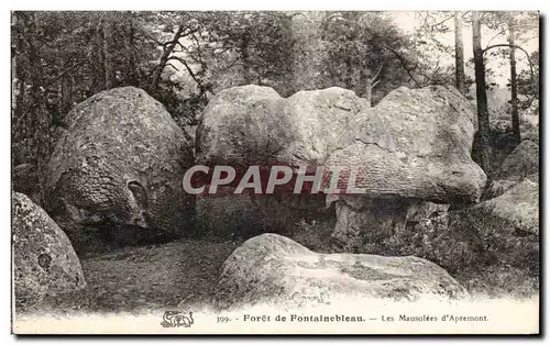 Ansichtskarte AK Fontainebleau Foret Les mausolees d&#39Apremont