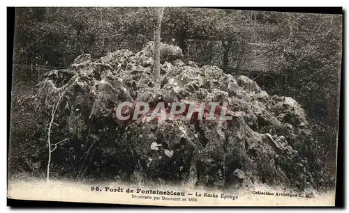 Cartes postales Fontainebleau Foret la roche eponge