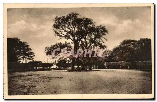 Ansichtskarte AK Fontainebleau Foret Carrefour de la table du roi