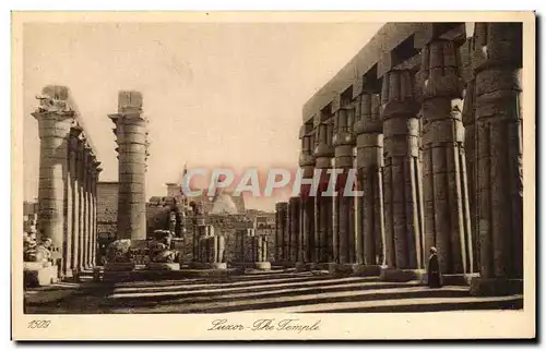 Ansichtskarte AK Luxor The Temple Egypte