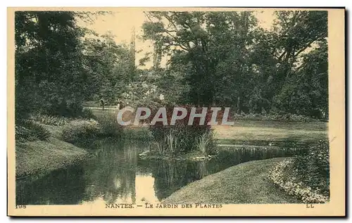 Ansichtskarte AK Nantes Le Jardin Des Plantes