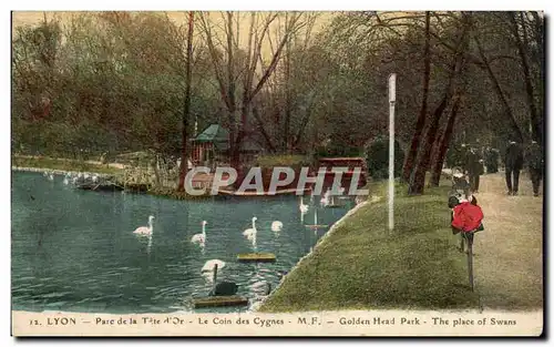 Cartes postales Lyon Parc de la Tete d&#39or Le coin des cygnes