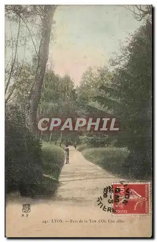 Cartes postales Lyon Parc de la Tete d&#39Or Une Allee