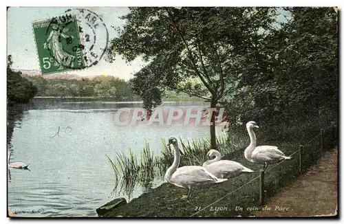 Ansichtskarte AK Lyon Un Coin du Parc Cygnes