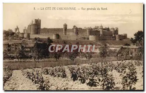 Cartes postales Cite De Carcassonne Vue Generale du Nord