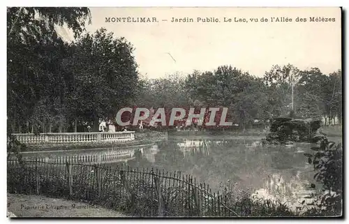 Cartes postales Montelimar Jardin Public Le Lac vu de I&#39Allee des Melezes