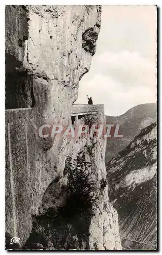 Cartes postales Foret de Lente Combe Laval