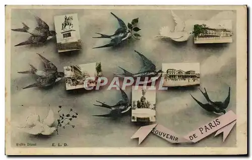 Cartes postales Souvenir De Paris Hirondelles