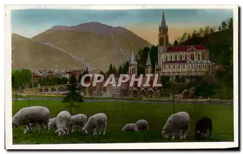 Ansichtskarte AK Lourdes La Basilique et le Pic du Jer Moutons