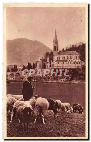 Cartes postales Lourdes La Basilique Berger et moutons