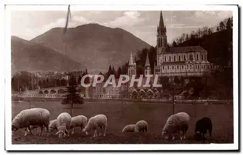 Ansichtskarte AK Lourdes La Basilique et le Pic du Jer Moutons