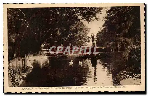 Cartes postales Avignon Promenade du Rocher des Doms Le bassin des Cygnes et la Venus aux Hirondelles