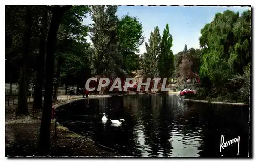 Cartes postales Images De France Saint Mande Le Lac Et Les Cygnes