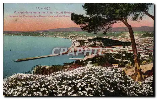 Cartes postales Nice Vue generale entre les Pins Mont Boron Between the Pine trees