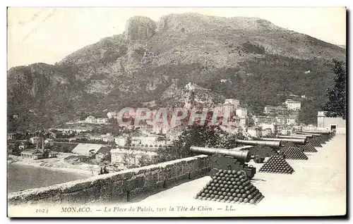 Cartes postales Monaco La place Du Palais La tete De Chien