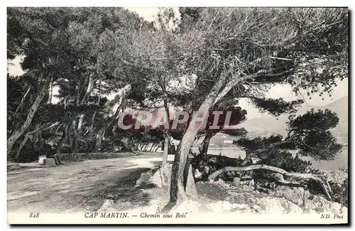 Cartes postales Cap Martin Chemin Sous Bois