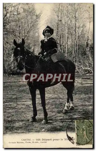Cartes postales Cantal Cheval Horse