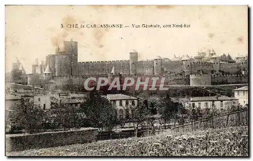 Cartes postales Cite De Carcassonne Vue Generale Cote Nord