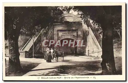 Cartes postales Belle lle en Mer Grotte de l'Apothicairerie Ane Donkey