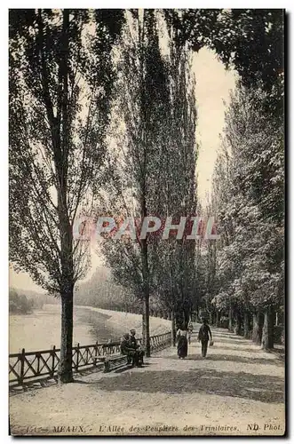 Ansichtskarte AK Meaux L&#39Allee des Peupliers des Trinitaires