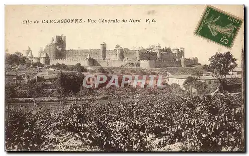 Cartes postales Cite de Carcassonne Vue Generale du Nord