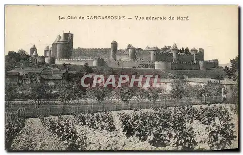 Cartes postales La Cite de Carcassonne Vue generale du Nord