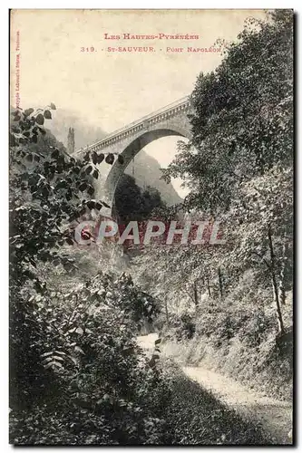 Cartes postales Les Hautes Pyrenees Saint Sauveur Pont Napoleon