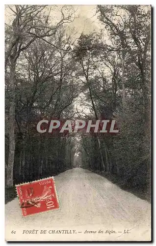 Cartes postales Foret De Chantilly Avenue des Aigles