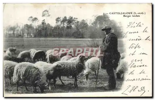 Cartes postales Casteljaloux Berger Landais Moutons Sheep