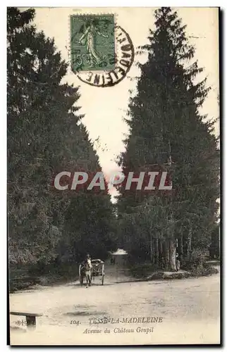 Cartes postales Tesse La Madeleine Auenue Du Chateau Goupil