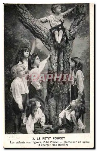 Cartes postales Le Petit Poucet Les enfants sont egares Petit Poucet Monte sur un arbre et apercoit une lumiere