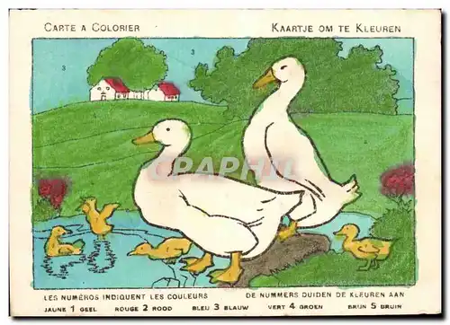 Ansichtskarte AK Carte A Colorier Canards