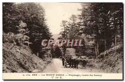Ansichtskarte AK Le Mont Dore Paysage route du Sancy Attelage Boeufs