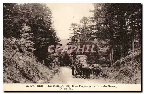 Cartes postales Le Mont Dore Paysage route du Sancy Attelage Boeufs