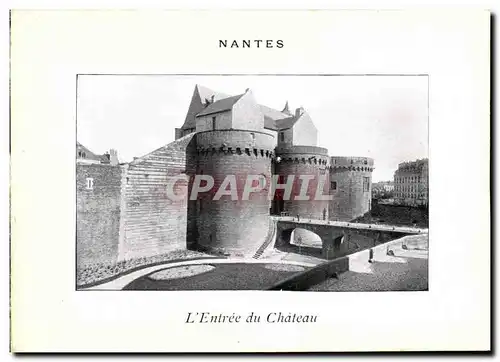 Cartes postales Nantes L&#39Entree du Chateau