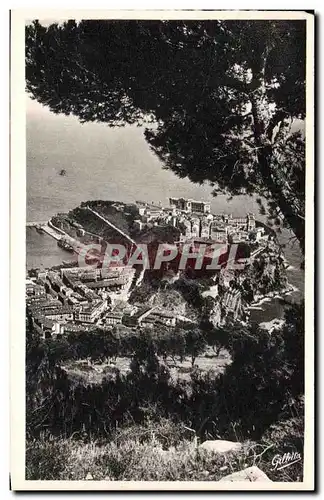 Cartes postales Cote d&#39Azur Artistique Monaco Le Rocher entre les Pins