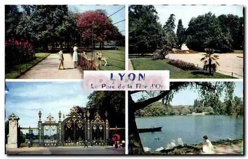 Cartes postales Lyon Le Parc De La Tete d&#39Or