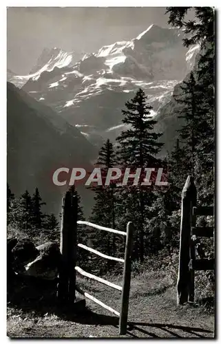 Cartes postales Grindelwald Am Wag n Bussalp Finsteraarhorn und kl Fiescherhorn